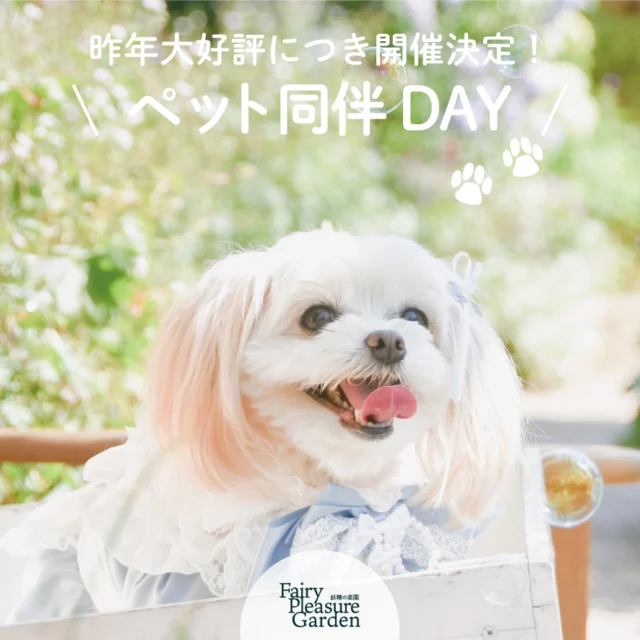 今年も開催します！ペット同伴DAY☺️
ルールを守って楽しいひとときをお過ごしください🐕️🐾🐈️  開催日：
5月9日（金）・5月13日（火）・6月10日（火）・6月16日（月）
料金：※花盛りシフォンは別料金です（＋800円）
大人（ドリンク付き）
　前日までの予約 2,000円
　当日予約 2,200円  3歳以上～11歳以下（ドリンク 付）
　前日までの予約 1,200円
　当日予約 1,400円
　3歳以下 無料  ペット同伴料金（お1人様2頭まで）　　
　1,000円/1頭  時間：※時間厳守でお願いいたします。
10時30分から11時50分までの枠
12時00分から13時20分までの枠
13時30分から14時50分までの枠
15時00分から16時20分までの枠
16時30分から17時50分までの枠  小型～中型犬（猫やウサギ可）を受付致します。
中型犬に関しては体重11kgまでのペットを受付致します。
ご予約の際に連れてくる犬種・お名前をお知らせ下さい。  🐩ペット同伴OK日の入園条件
※こちらをお守りいただけない方は入園できません。  ❗️飼い主様1名あたり同伴可能なのは2頭までとします。  ❗️入園できるのは11kgまでの小～中型犬（それに準ずる猫やうさぎなど）になります。  ❗️狂犬病等のワクチンの接種証明必須です。
発情期ではない、他のペットや人に対して攻撃的でないこと。
伝染性疾患及び健康上異常がないこと。  ❗️入園時に飼い主様の情報、ペットの情報を頂き、ご誓約書にサインいただきます。ワクチン接種証明もお持ちください。
※複数人数の場合でもお一人・一頭ずついただきます。  ❗ マナーベルトかオムツ、及び首輪・リード着用は必須です。入園時に確認させていただきます。園内に入っても外さずでお願いいたします。  ❗ ペットバギーやカートの持ち込み利用はお断りします。
※キャリーバッグは利用可能です。  ❗️プロ・アマ問わず撮影機材を持ち込みのカメラマンを同伴しての入園はお断りします。  ❌ペット同伴OKの日❌園内ルール❌  ❗ 混雑回避のため園内でのリードを着けての散歩は禁止です。
だっこ、キャリーバッグでの散歩は可能です。  ❗ 花壇の中に入る、植物や花を折るなどの行為は厳禁です。
そのような行為を発見した場合、見つけ次第退園していただきます。  ❗️撮影ポイント（フォトスポット）は園内に3箇所ございます。そちらでは
ペットを下ろして撮影可能です。※その際もリードやオムツなどは着用ください。  ❗️案内されたお席の床や椅子にペットを座らせる場合はカフェマットを
ご使用ください。テーブルに乗る、人間用の食器を舐めるなどは厳禁です。  ❗️園内撮影（だっこやフォトスポットなど）の場合は他のお客様のご迷惑
にならないよう、譲り合ってご利用ください。  ❗️園内ではスタッフの指示に従ってください。守れない方は退園処理をさせていただきます。  ※咬傷事故・トラブルについての責任は一切負わないものとします。  📷️SNS（instagram、Xなど）投稿ルール  ❗️普段妖精の楽園ではペット同伴を禁止しているため、SNS投稿にもルールがございます。
ご面倒ですがチェックいただければ幸いです。
※守れていない投稿を発見した際には
修正・削除要請をさせていただくことがあります。  SNSにアップする写真は…。  ❗️リードをしているのがわかること  ❗️おむつをしているかがわかること  ❗️椅子などを使用する場合はカフェマットを使用していることがわかること。テーブルに上げるのは❌️  ❗️ペットを下ろして撮影できるのは案内されたお席か、フォトスポット三箇所のみです、それ以外で下ろしている写真をアップすることはNGです。  ❗️本文中に「妖精の楽園では普段ペットNGです。ペット同伴OK日に撮影」という旨の記載を入れてください。  ※ペット同伴OK日以外の日はペット同伴入園不可ですのでお気をつけ下さい。
※ペットをお連れでないお客様も動物が居る旨を承諾頂き入園していただけます。  Special thanks：@frenchbulldog44b  また、同時にうちの子グッズを同伴DAYに合わせて受付いたします。
・あなたの大切な家族を似顔絵に？うちの子似顔絵グッズ受付（Illustrator misato @misatorineko 在園します。）
・あなたの大切な家族をお人形に！
うちの子そっくり人形受付（紙粘土作家masako @chuchumasako）
大事な家族の好きなものや性格をお聞かせいただき、
世界で一つの似顔絵やお人形にいたします。あなたのうちの子グッズを作ってみませんか？  #妖精の楽園 #イングリッシュガーデン #バラ #オープンガーデン #愛媛県松山市 #rose #イングリッシュローズ #ペット同伴OKな日 #日付限定 #小型犬 #うさぎ #ハムスター #うちの子似顔絵 #うちの子人形