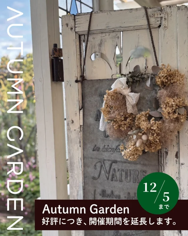 お知らせ📢
秋のガーデンはご好評につき、12月5日（金）まで開催期間を延長いたしました。秋限定のドリンクやデザートプレートも大変ご好評いただいております。☕️🍰🥪✨  気温が低い日でも、ゆっくりお過ごしいただける室内のお部屋をご用意しておりますので、どうぞご安心ください。
バラはもちろん、色とりどりの秋の花々もまだまだ楽しめます。
この機会にぜひお立ち寄りください🌹🍁  開催期間  ・2025年10月30日（木）〜12月5日（金）まで
・営業時間10：00～16：00（Lo15：00）
※大雨や荒天の際は休園になります。休園の場合こちらからお電話にて連絡させていただきます。
・予約方法
妖精の楽園は完全予約制となっております。
お電話（089）979-5514
（☎電話受付時間 9：00～19:00まで）でご予約を承ります。
DMやメールでの予約はお受けできませんのでご了承ください。  🌹入園料金　秋のガーデン特別価格  ・3歳以上のお子様・大人  1名につき入園料500円（税込）+ワンドリンクオーダー制  ・3歳未満  　無料  🚗行き方・駐車場のご案内🚗  こちらにお越しの際は
「小規模多機能型居宅介護楓華（ふうか）」さんを目印に起こしください。
妖精の楽園への行き方ナビ入力は
「089-979-5514」か、「松山市太山寺町1305-2」を入力ください。  駐車可能な台数に限りがございます。
お手数ですが乗り合わせ、または公共交通機関をご利用の上お越し下さい。🚗
（伊予鉄バス：松山市駅から勝岡免許センター行きに乗って「片廻」で降りていただくと妖精の楽園が目の前にあります）  臨時駐車場をご利用いただけます。満車の場合はそちらにお停めくださいませ。
※妖精の楽園から三津方面の向きに出てすぐ1つ目の信号を左折し、突き当り右手が臨時駐車場になります。（小道になりますのでお気をつけください）
※2019年までの臨時駐車場や民家の敷地は利用できません。駐車されませんようお願い致します。  🌹妖精の楽園からのお願い🌹  ・お客様のご予約が多い日は時間制限をかけさせて頂く可能性があります。
・駐車可能な台数に限りがございます。乗り合わせの上お越しください。
・車椅子の持ち込み利用可能です。※ベビーカーは席での利用のみ可能です。ご予約の際にお伝え下さい。入れない通路もあります。他のお客様とのすれ違い等ご協力をお願い致します。
・ペットのご同伴はご遠慮ください。
・園内すべて禁煙になります。喫煙所はありません。
・雨天時は雨風の様子を見て開催を決定いたします。臨時休業の場合はご予約いただいているお客様にお電話でご連絡を差し上げます。
・ご要望にお応えし、一眼レフカメラによる撮影を可能といたします。但しカメラ以外の撮影機材（レフ板/三脚など）の持ち込みは不可です。
他のお客様のご迷惑にならないようご配慮ください。
ウエディング/コスプレ/長時間撮影は時間貸しプランをご利用ください。
・お子様のおもちゃ（虫取り網などの長物、水鉄砲など）は他のお客様のご迷惑になりますので、持ち込みまれないようお願いいたします。  #妖精の楽園 #イングリッシュガーデン #バラ #オープンガーデン #愛媛県松山市 #rose #イングリッシュローズ #イングリッシュガーデン妖精の楽園